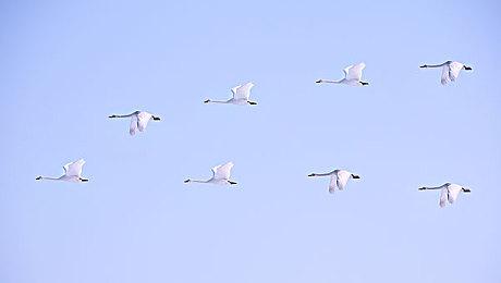 《生化女神：末日开端》新预告 试玩版已上线